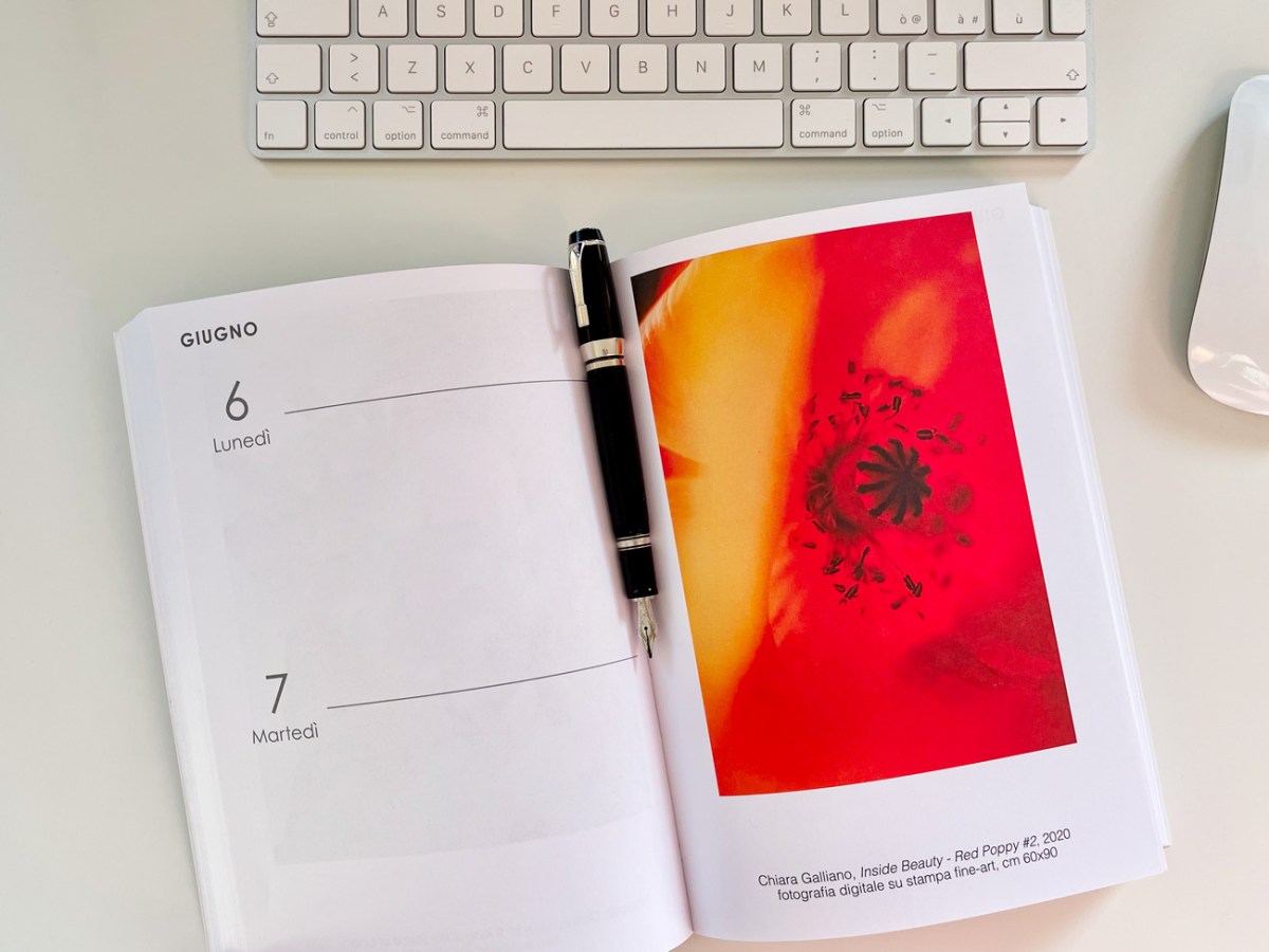 Un nuovo anno all’insegna dell’arte e della&nbsp;bellezza